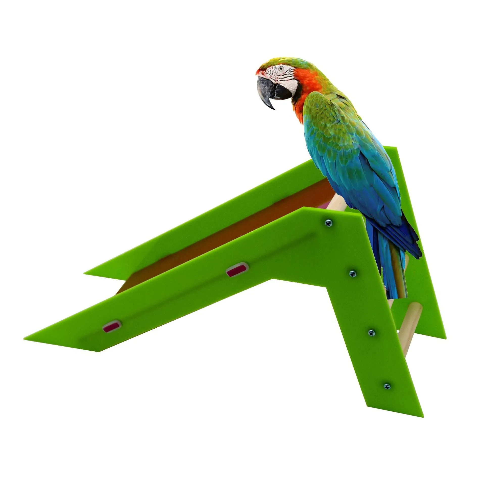Acrylic Slide for Parrots