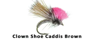Clown Shoe Caddis (brown) #16