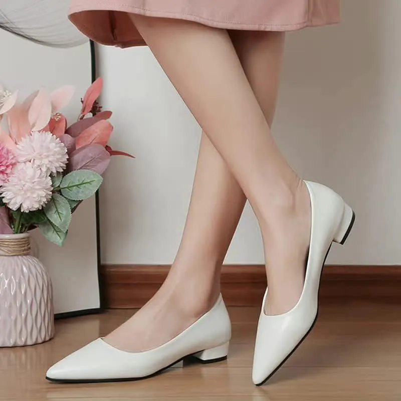 Dear Time Ballerina Flats Shoes for Women Pointy Toe Soft Basic Slip On Flat Shoes