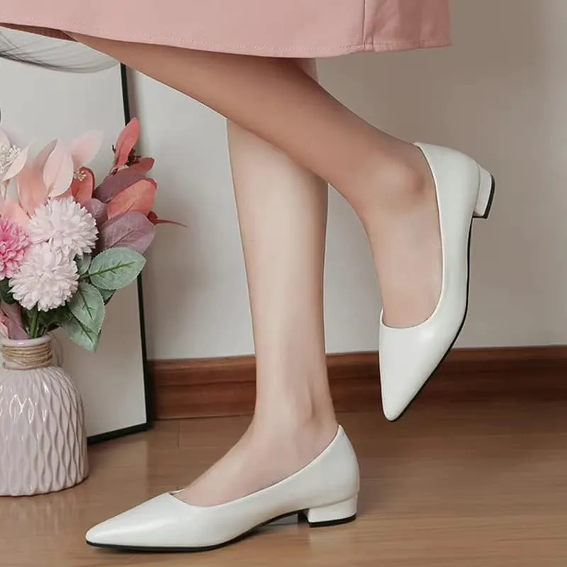 Dear Time Ballerina Flats Shoes for Women Pointy Toe Soft Basic Slip On Flat Shoes