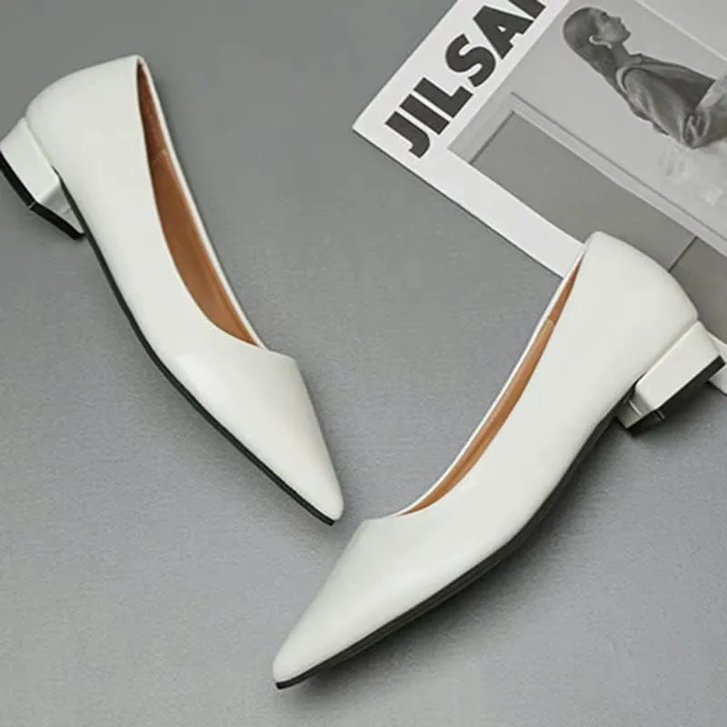Dear Time Ballerina Flats Shoes for Women Pointy Toe Soft Basic Slip On Flat Shoes