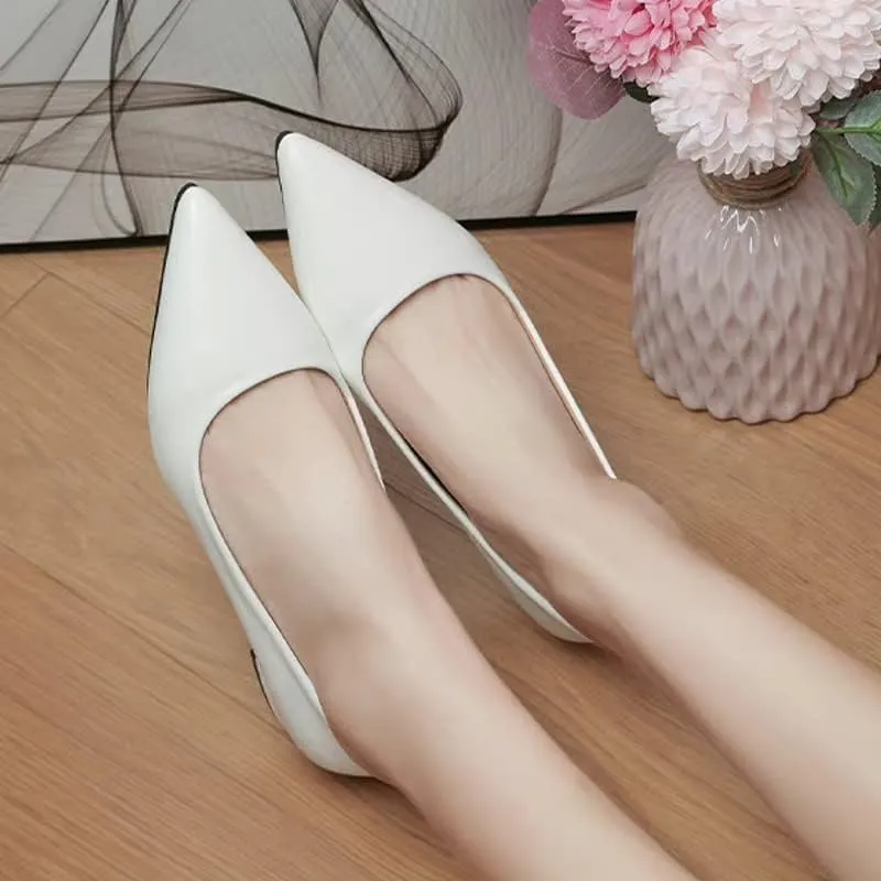 Dear Time Ballerina Flats Shoes for Women Pointy Toe Soft Basic Slip On Flat Shoes