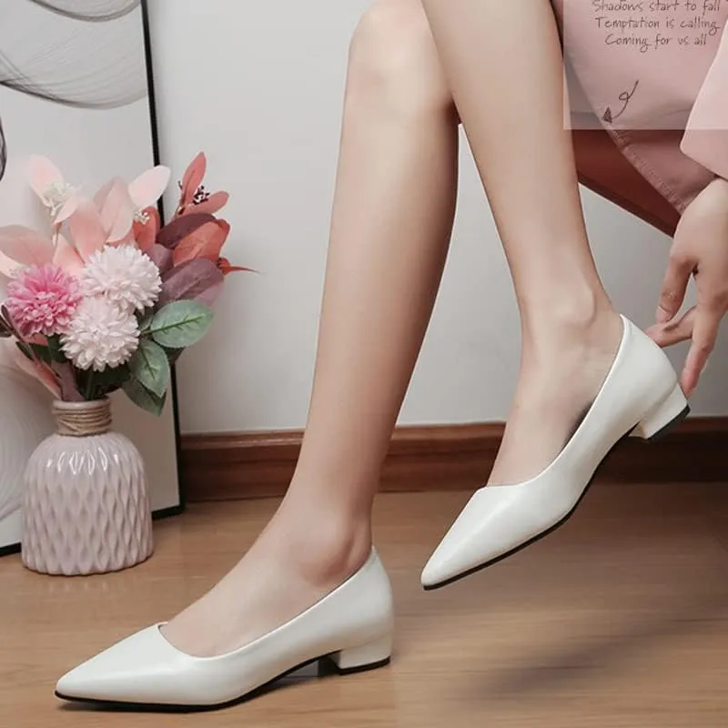 Dear Time Ballerina Flats Shoes for Women Pointy Toe Soft Basic Slip On Flat Shoes