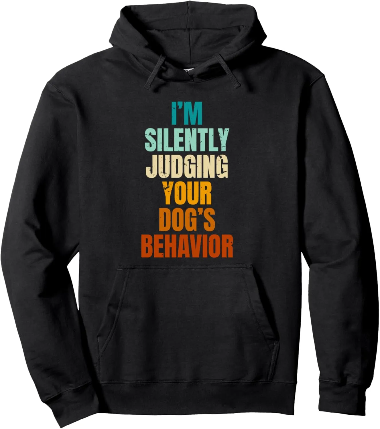 I'm Silently Judging Your Dog's Behavior Funny Dog Trainer Pullover Hoodie