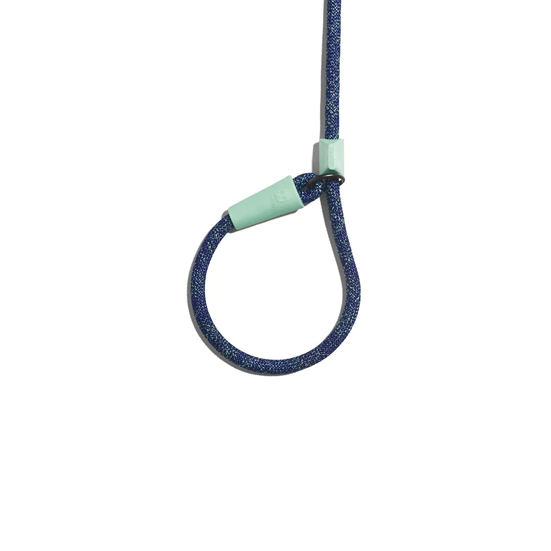 Indigo Slip On Leash