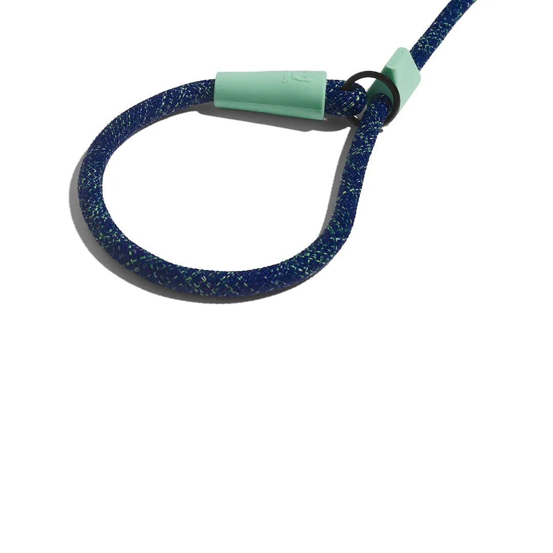 Indigo Slip On Leash