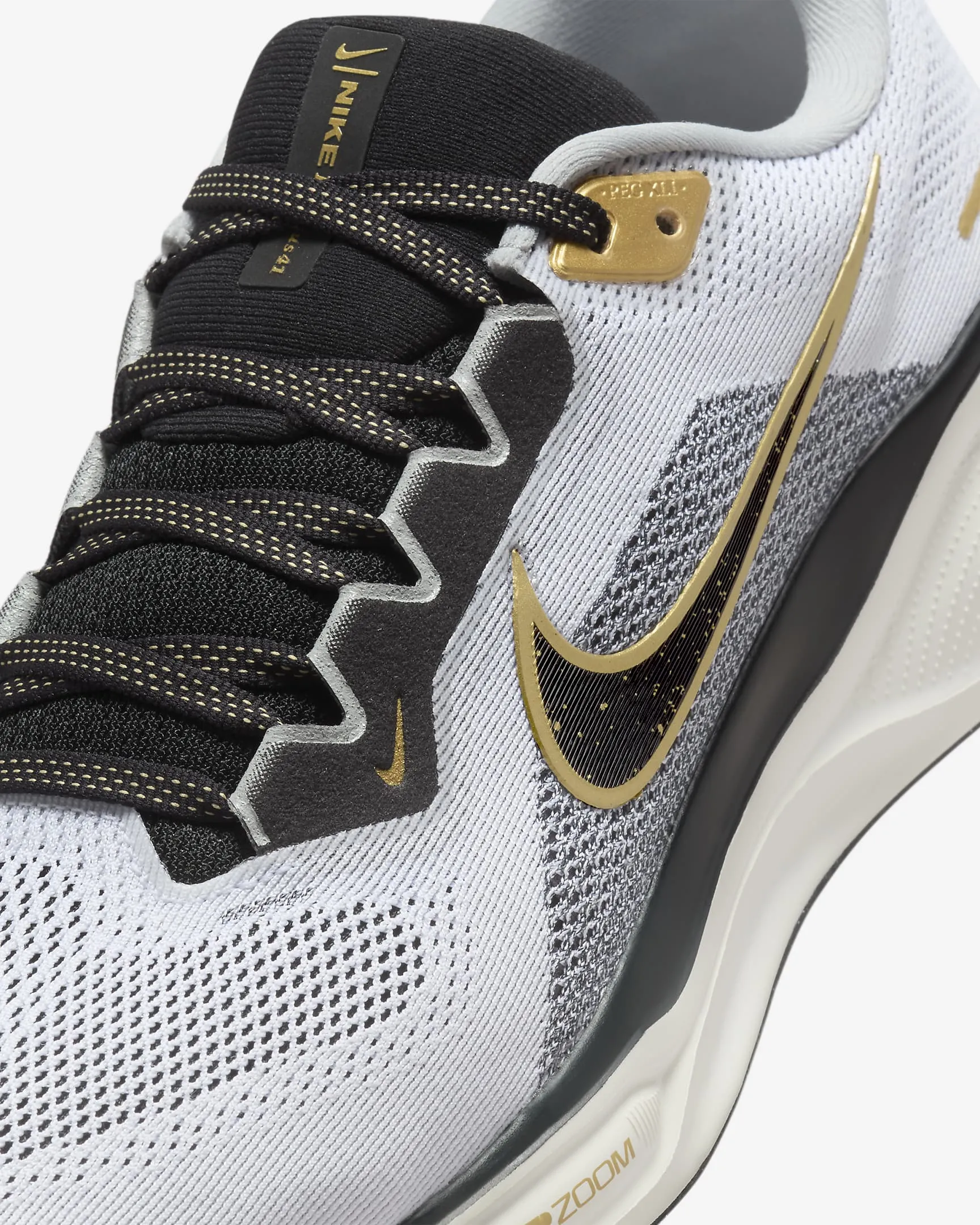 Men's Pegasus 41