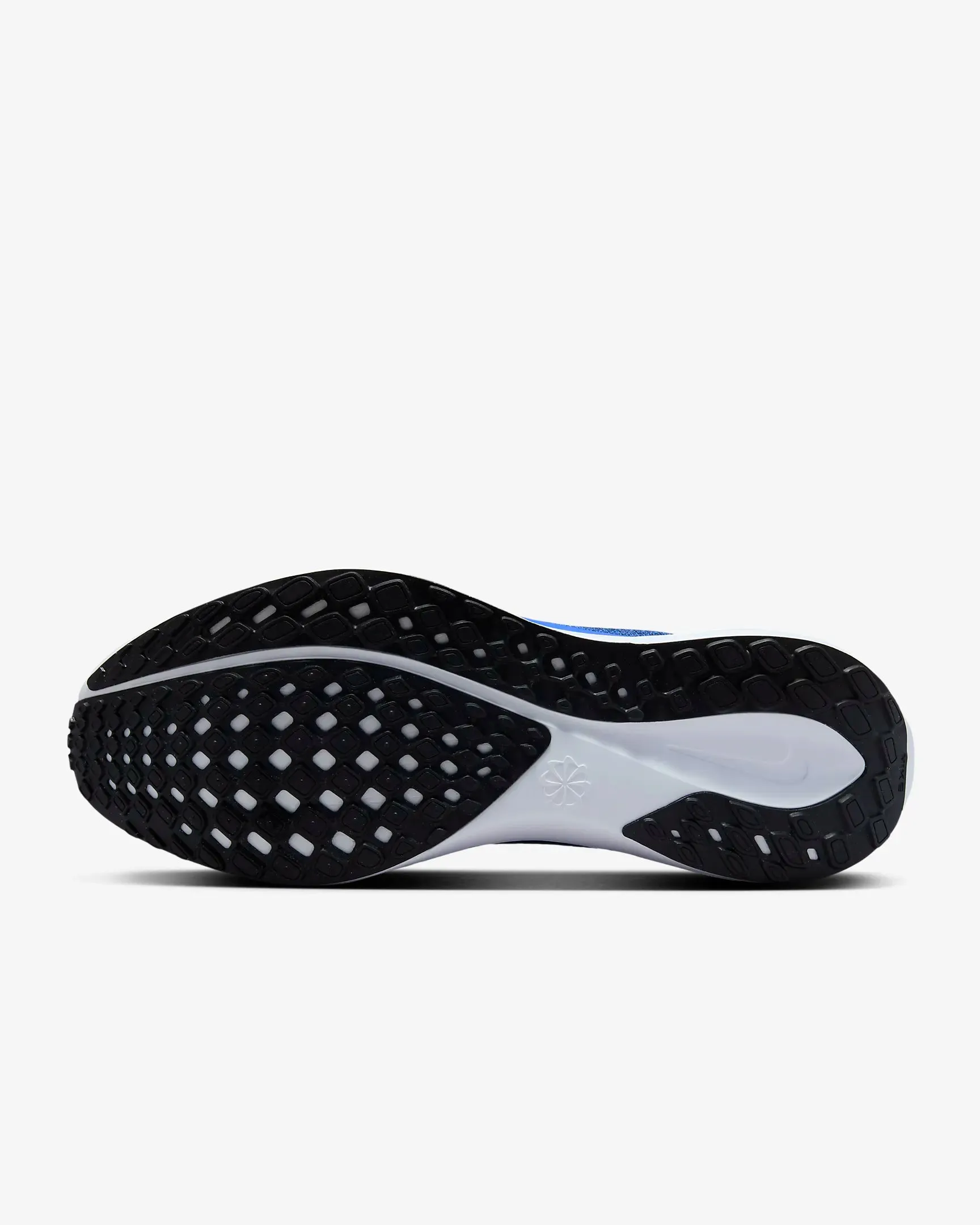 Men's Pegasus 41