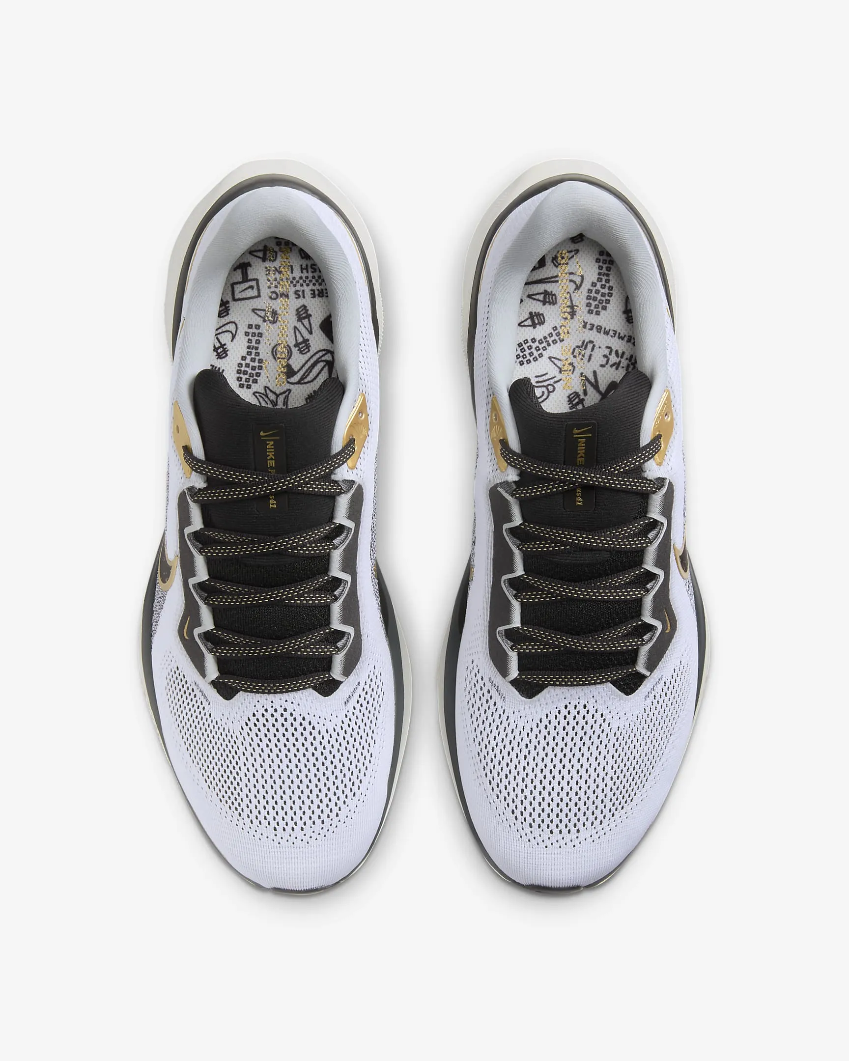 Men's Pegasus 41