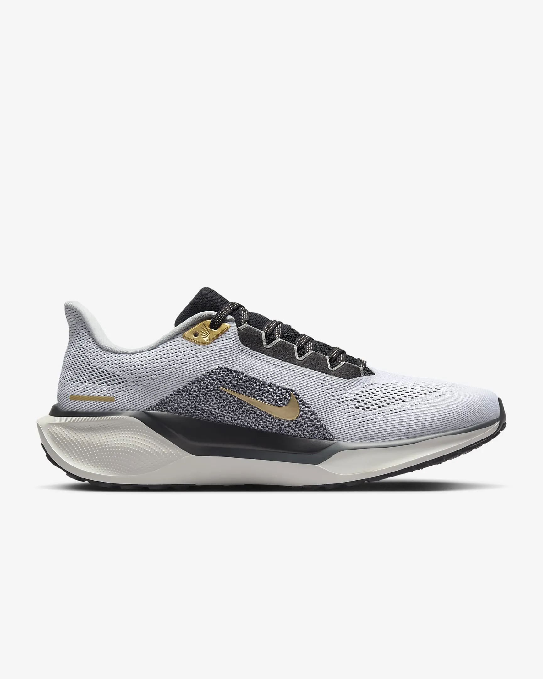 Men's Pegasus 41