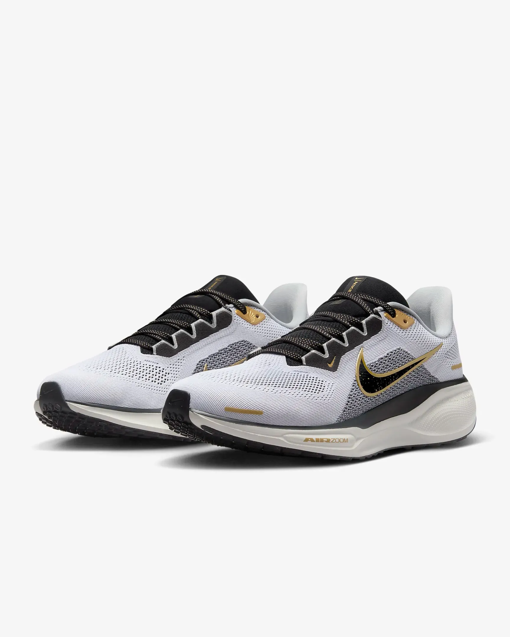 Men's Pegasus 41