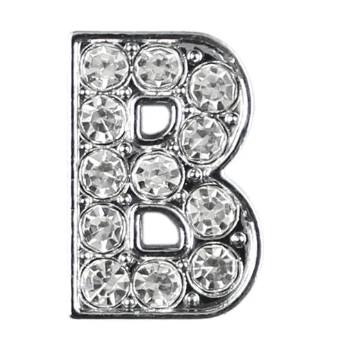 Parisian Pet '10 mm Slide Letters A-Z (10 pk)' for Dogs & Cats – Customizable & Fun Pet Accessory, Clear