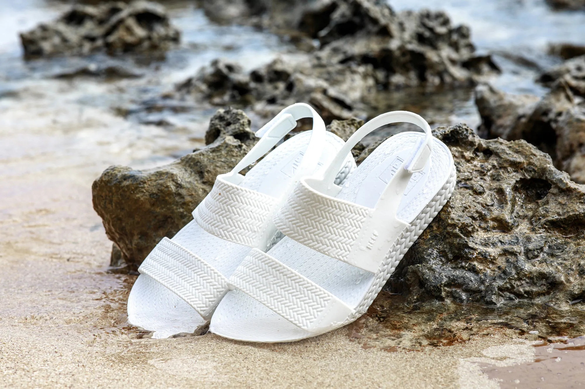 REEF WATER VISTA - WHITE