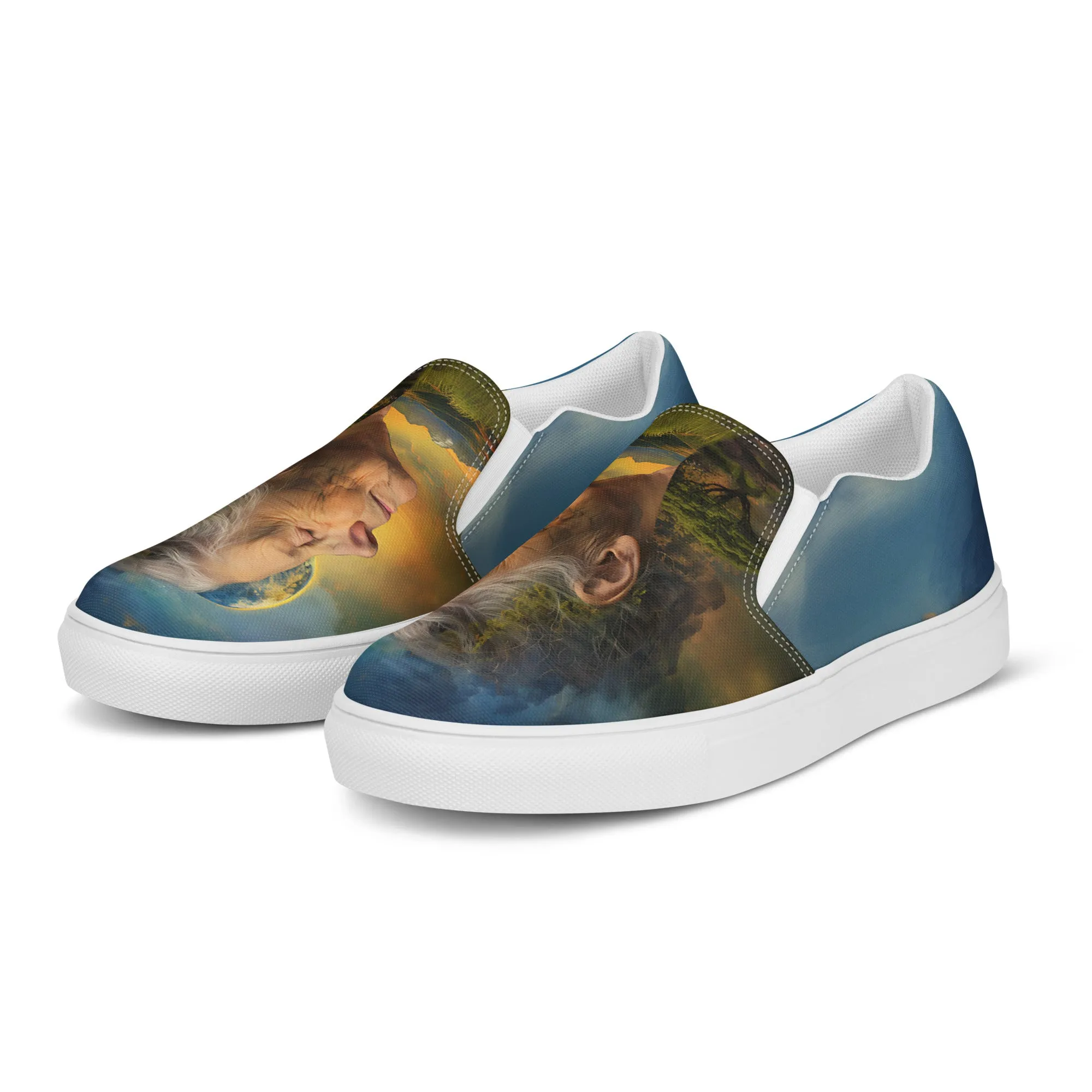 Solace Within Women’s slip-on canvas shoes